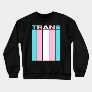 Trans Flag Crewneck Sweatshirt